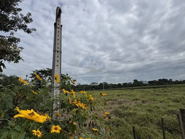 Imagem 2: Terreno em Área Rural de Dourados, Dourados/MS