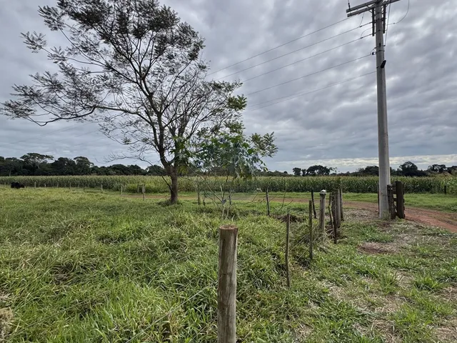 Imagem 3: Terreno em Área Rural de Dourados, Dourados/MS
