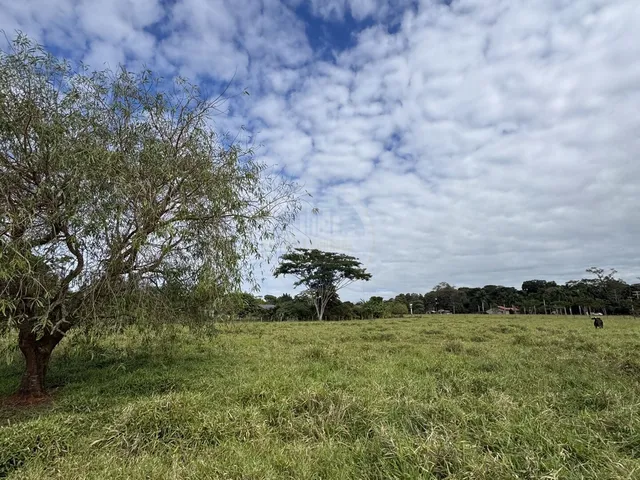 Imagem 6: Terreno em Área Rural de Dourados, Dourados/MS
