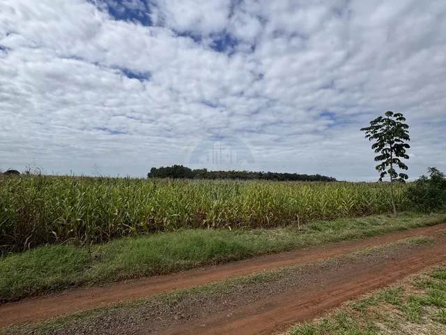 Imagem 10: Terreno em Área Rural de Dourados, Dourados/MS