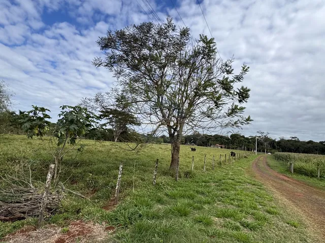 Imagem 5: Terreno em Área Rural de Dourados, Dourados/MS