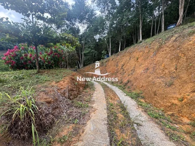 Imagem 6: Chácara com casa de 3 quartos em Domingos Martins Localização privilegiada a 06 km da