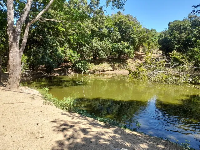 Imagem: Fazenda 30 Alqueires Goianos 15 minutos