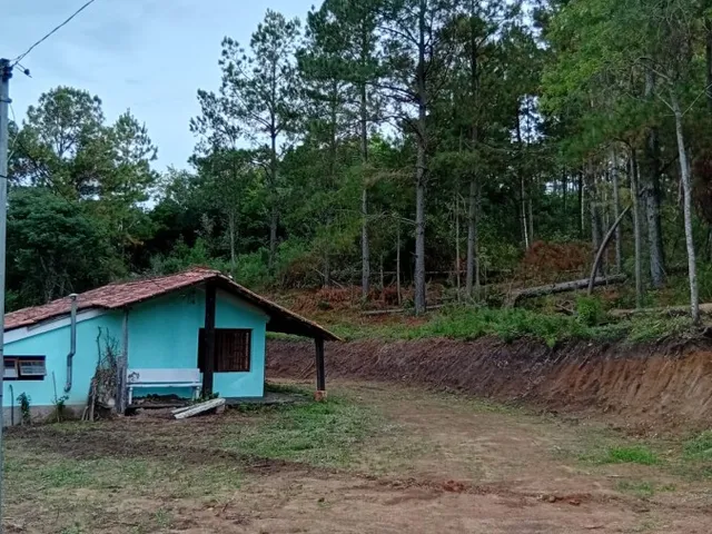Imagem: Sítio para Venda em Pelotas, Cascata, 1