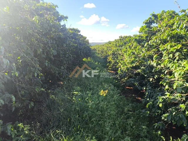 Imagem: Sítio Localizado em Monte Santo de Minas/MG