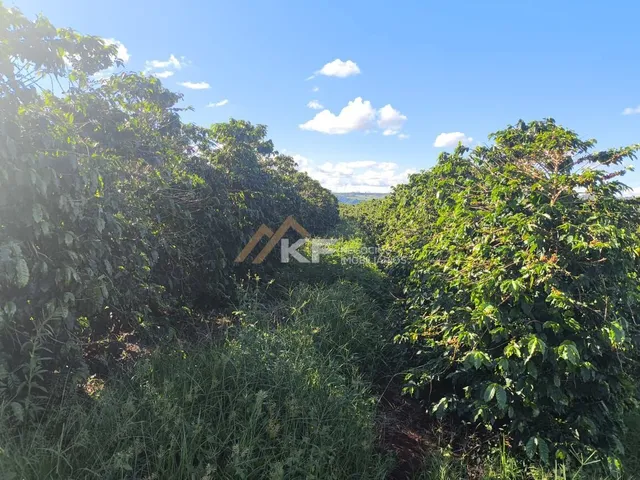 Imagem 2: Sítio Localizado em Monte Santo de Minas/MG