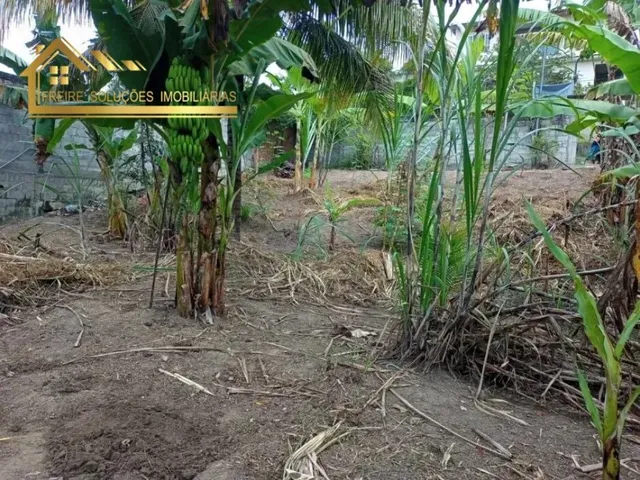 Imagem 5: Terreno à venda no bairro Arsenal - São Gonçalo/RJ