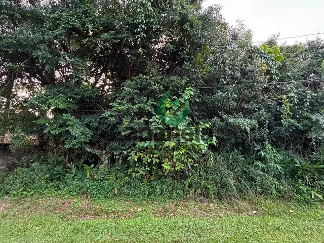 Imagem: Terreno À Venda em Cananéia-Sp, Bairro