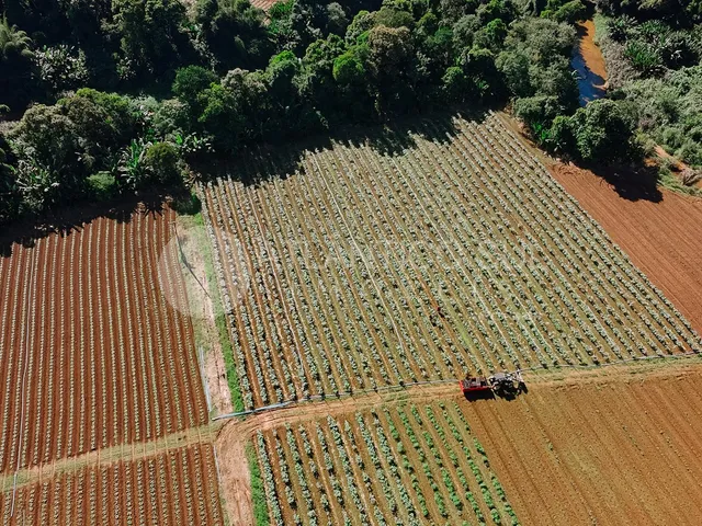 Imagem 4: Àrea logística exclusiva às margens da BR-277 Rio Sagrado/Morretes