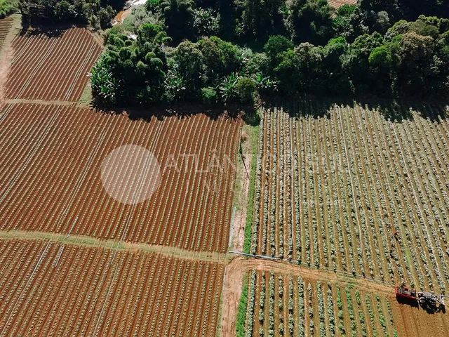 Imagem 8: Àrea logística exclusiva às margens da BR-277 Rio Sagrado/Morretes