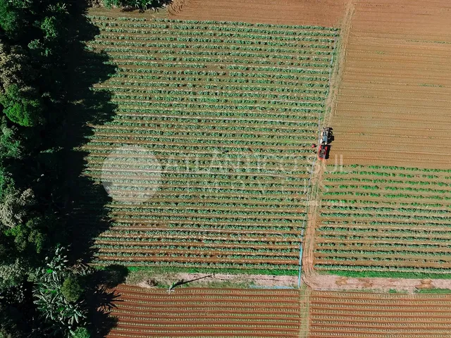 Imagem 9: Àrea logística exclusiva às margens da BR-277 Rio Sagrado/Morretes