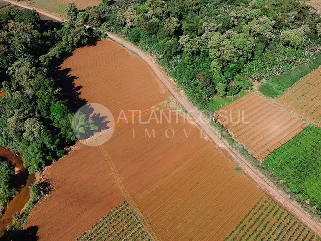 Imagem 11: Àrea logística exclusiva às margens da BR-277 Rio Sagrado/Morretes