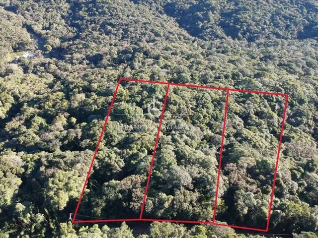 Imagem: Área à venda em Piraquara, Recreio da