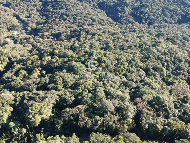 Imagem 9: Área à venda em Piraquara, Recreio da Serra, 6200m²