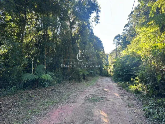 Imagem 2: Área à venda em Piraquara, Recreio da Serra, 6200m²