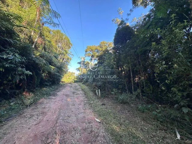 Imagem 3: Área à venda em Piraquara, Recreio da Serra, 6200m²
