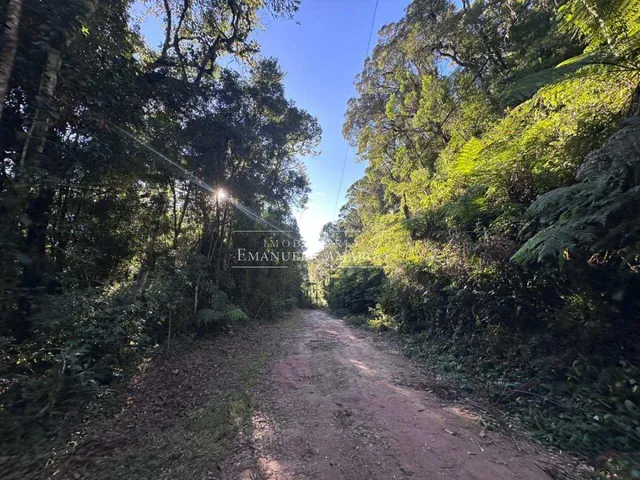 Imagem 7: Área à venda em Piraquara, Recreio da Serra, 6200m²