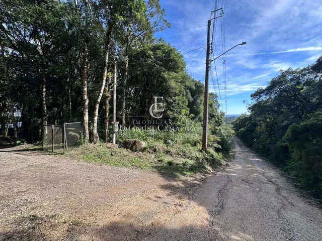Imagem: Área à venda em Piraquara, Recreio da