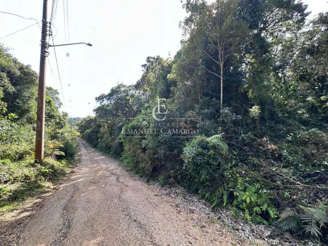 Imagem 4: Área à venda em Piraquara, Recreio da Serra, 9800m²
