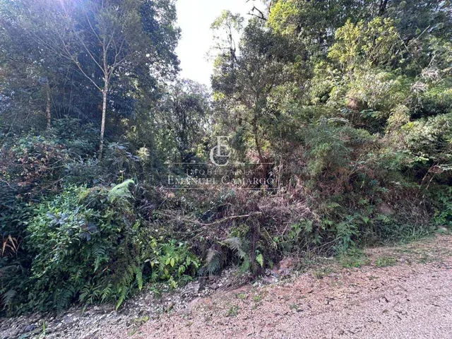 Imagem 9: Área à venda em Piraquara, Recreio da Serra, 9800m²