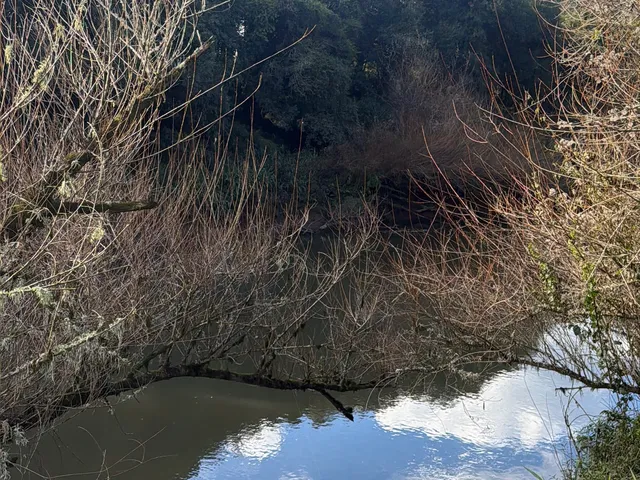 Imagem 11: Tereno em Bom Retiro Sc Serra Catarinense
