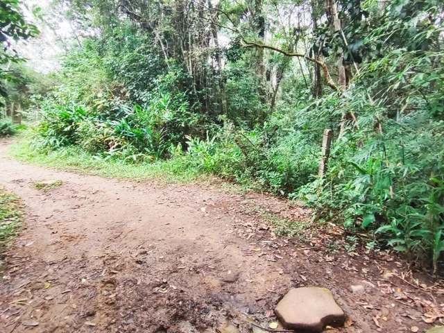 Imagem: Terreno à venda em Garopaba-SC, bairro