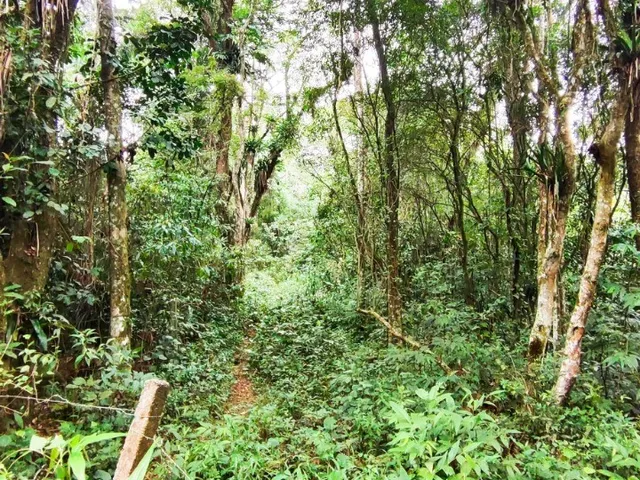 Imagem 4: Terreno à venda em Garopaba-SC, bairro Encantada, com 11.995,00 m²...