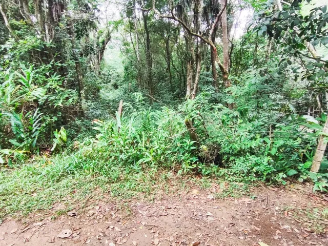 Imagem 3: Terreno à venda em Garopaba-SC, bairro Encantada, com 11.995,00 m²...