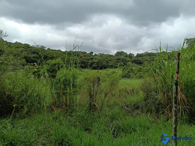Imagem 12: Sítio À Venda no Bairro Soares em Jarinu - Sp