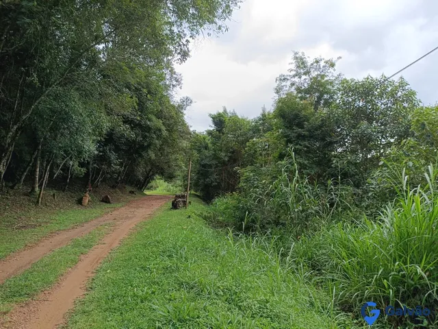 Imagem 13: Sítio À Venda no Bairro Soares em Jarinu - Sp