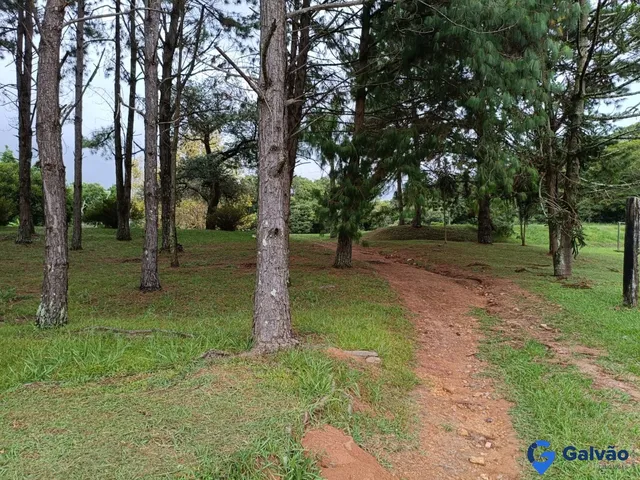 Imagem 2: Sítio À Venda no Bairro Soares em Jarinu - Sp