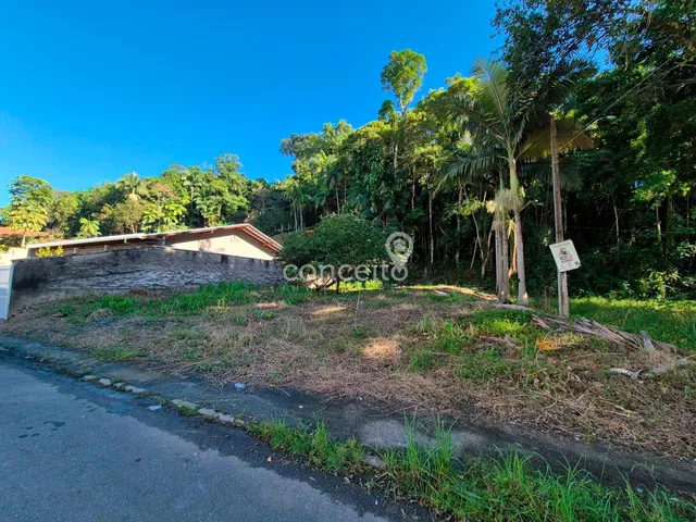 Imagem 2: Terreno com 539m² e 18m de Frente na Itoupava Norte!