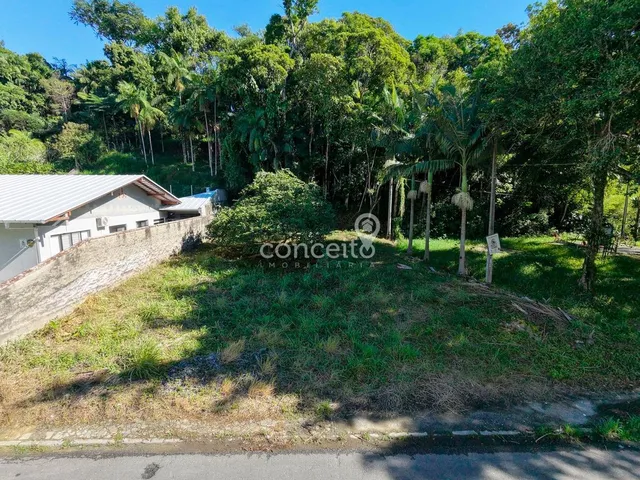 Imagem 3: Terreno com 539m² e 18m de Frente na Itoupava Norte!