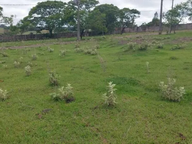Imagem 10: TERRENO RESIDENCIAL em PÉROLA - PR, PARQUE RESIDENCIAL VIVA