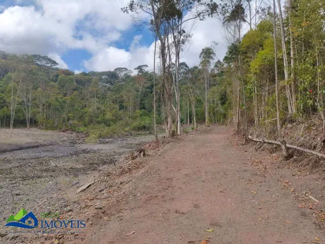 Imagem 2: Vendo Sítio no Córrego Dantas com 95 mil mts²