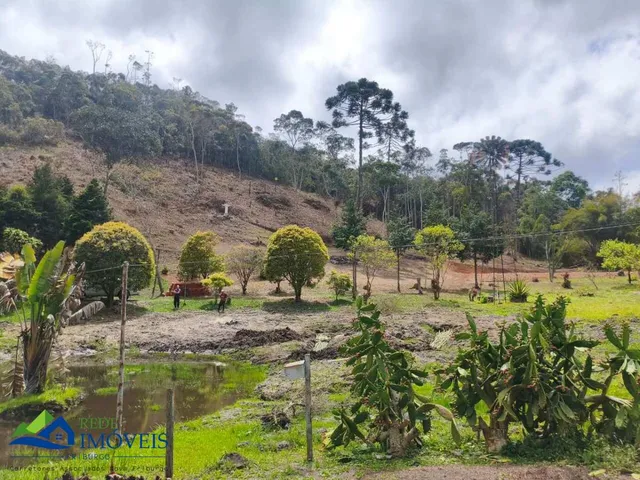 Imagem 8: Vendo Sítio no Córrego Dantas com 95 mil mts²