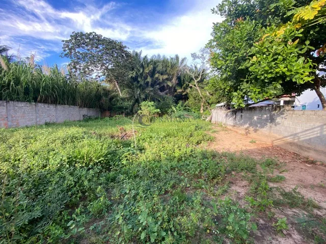 Imagem 5: Terreno Comercial à Venda em Itacimirim Camaçari-BA, 750 m² de Oportunidade Única!