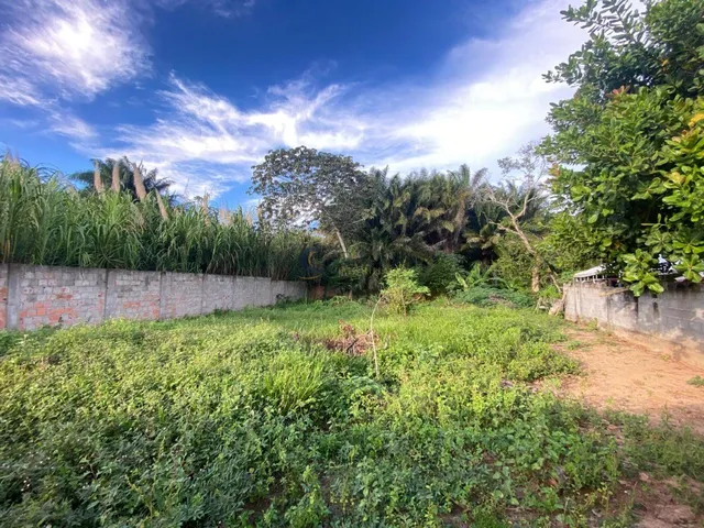 Imagem 12: Terreno Comercial à Venda em Itacimirim Camaçari-BA, 750 m² de Oportunidade Única!