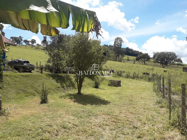 Imagem 3: CHACARA EM BUENO BRANDAO MG 7000 MIL METROS COM ESCRITURA