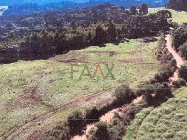 Imagem 2: Terreno Rural à Venda em Rio das Pedras com 45.375 m² de Área
