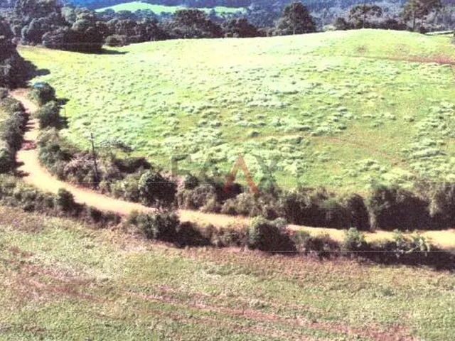 Imagem 3: Terreno Rural à Venda em Rio das Pedras com 45.375 m² de Área