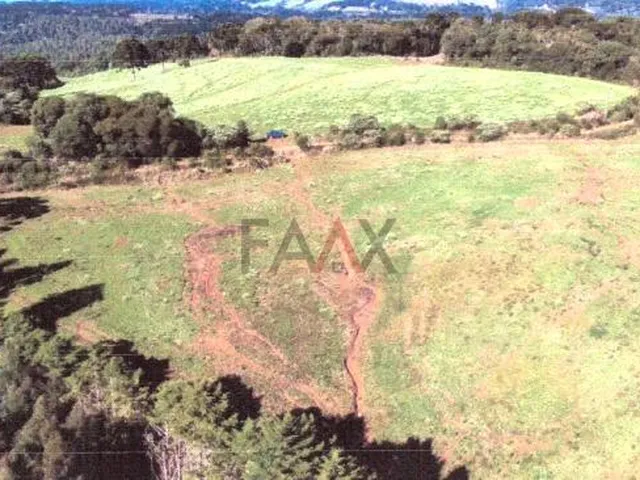 Imagem 4: Terreno Rural à Venda em Rio das Pedras com 45.375 m² de Área