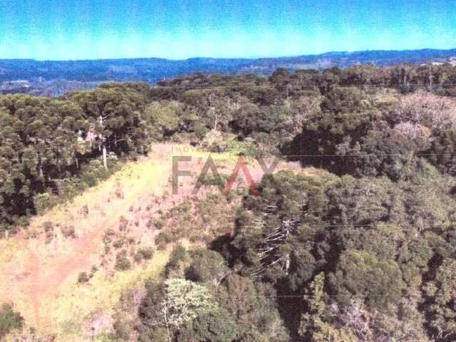 Imagem 2: Área Rural de 45.375m² em Rio das Pedras Ótima Oportunidade de Investimento