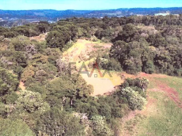 Imagem 3: Área Rural de 45.375m² em Rio das Pedras Ótima Oportunidade de Investimento