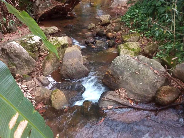 Imagem 2: Chácara com 5.080m² à Venda na Comunidade Rural de São Felix - Guarapari/ES