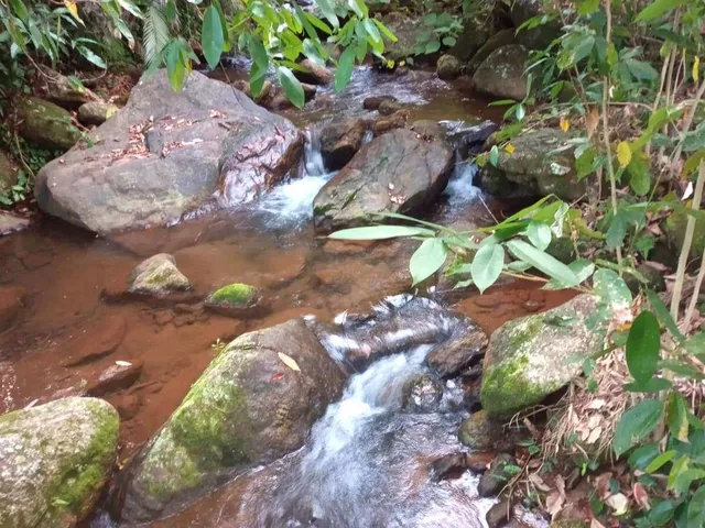 Imagem 4: Chácara com 5.080m² à Venda na Comunidade Rural de São Felix - Guarapari/ES