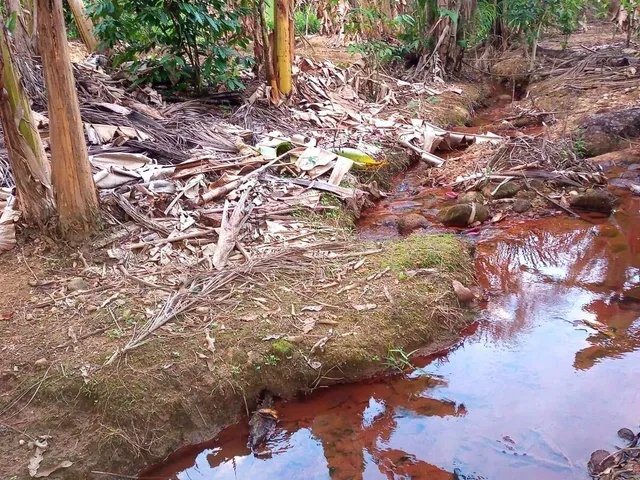 Imagem 5: Chácara com 5.080m² à Venda na Comunidade Rural de São Felix - Guarapari/ES