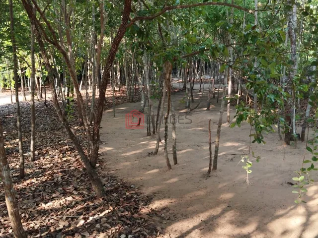 Imagem 5: Chácara no Bananal - Betel