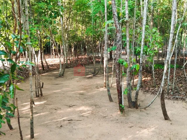 Imagem 2: Chácara no Bananal - Betel