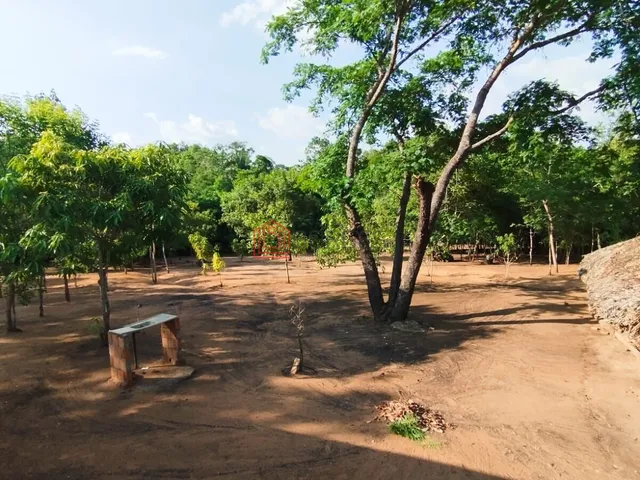 Imagem 3: Chácara no Bananal - Betel